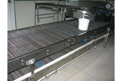 China Customized Metal Chain Mesh Conveyor Belt For Continuous Dryer supplier