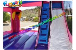 China Hot Frozen Combo Slide Inflatable , Inflatable Jumping Slide With PVC supplier