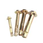 5/16IN Dia Zinc Internal Expansion Bolt M6-M48 Sleeve Anchor With Flange Nut for sale