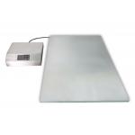 Constant Temperature Platform for sale