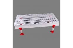 China Lightweight Chicken House Floor Slats Plastic Slats For Poultry Houses supplier
