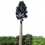 Painting Camouflage Cell Tower Palm Tree Direct Bionic Tree Communication for sale