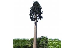 China Painting Camouflage Cell Tower Palm Tree Direct Bionic Tree Communication supplier