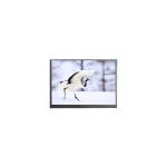 F060A18HD4-6T1 6.0 inch LCD Screen panel For Mobile Phone for sale