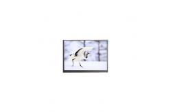 China F060A18HD4-6T1 6.0 inch LCD Screen panel For Mobile Phone supplier