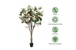 China 210cm Artificial Magnolia Tree For House Office Long Lasting Evergreen Plants supplier