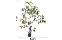 China Real Stem Artificial Landscape Trees Piptanthus 160cm No Nursing Evergreen 20'' Container supplier