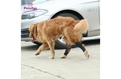 China Joint Protection SBR Dog Knee Pad for Surgery Recovery supplier