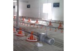 China Floor Automatic Broiler Feeding System Pan Feeder Nipple System In Poultry supplier