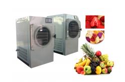 China Light Weight 240V Mini Freeze Dryer Machine TFD0.4 For Fruits Vegetables supplier