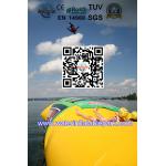 Exciting Inflatable Water Catapult  Blob with 5 Years Warranty