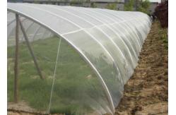 China 40x25mesh Plastic Wire Mesh 30-300m White Agricultural Greenhouse Insect Screen supplier