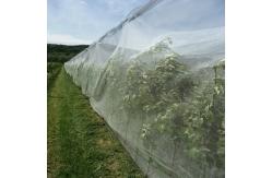 China 50 Mesh Garden Netting For Vegetable Fruits Flowers  supplier