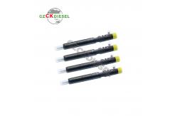 China New Common Rail Fuel Injector EJBR05301D F50001112100011 for Engine YC4F-2008 supplier