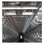 Layer Cages Poultry Farm Battery Cages Chickens Automatic Layer Chicken Cage For 20000 Birds for sale