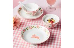 China Custom Ceramic Dinnerware Microwave Dishwasher Safe Compliant With FDA Requirements supplier