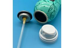 China Versatile Dry Shampoo Spray Valve with Actuator for Home Use supplier