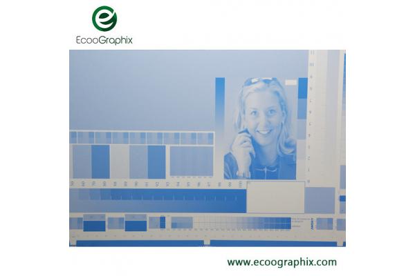 Double Layer Offset Packaging CTP Printing Plates Non Ablative Coating