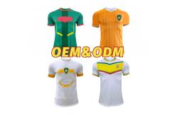 China Breathable and Moisture-Wicking Fan Version Jersey for Optimal Performance supplier