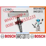 High Quality Diesel Fuel Injector 0445120255, 044512010, 0445120113 for sale