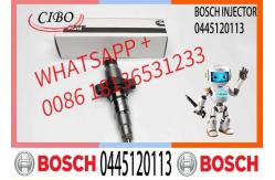China High Quality Diesel Fuel Injector 0445120255, 044512010, 0445120113 supplier
