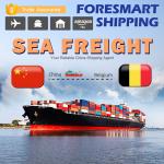 40ft China To Belgium International Sea Freight Services for sale