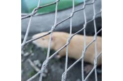 China Animal Enclosure Mesh Of 60/90 Degree Animal Containment Netting supplier
