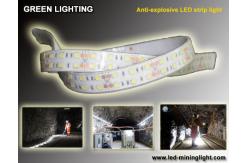 China Anti explsoive 1500 lum Flexible LED Strip Waterproof 60pcs led each meter supplier