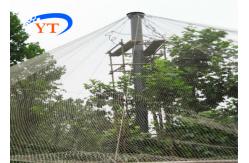 China Flexible Stainless Steel Ferrule Rope Mesh Architectural Rhombus Webnet supplier