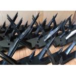 Black Power Coated Galvanized Steel Bird Odm Anti Climb Security Spikes for sale