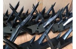 China Black Power Coated Galvanized Steel Bird Odm Anti Climb Security Spikes supplier