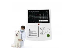 China Reliable Veterinary ECG Machine With Lightweight Design And Secure Data Storage supplier