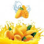 SUS304 Automatic Mango Washing Machine For Fruit Cleaning for sale