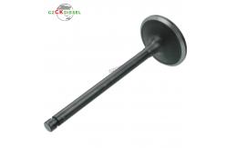 China VALVE INLET 32A04-20100 32A0420100 for S4S Engine supplier
