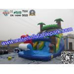 Bounce House Charming Inflatable Slide , Kids Inflatable Water Slides Pool for sale