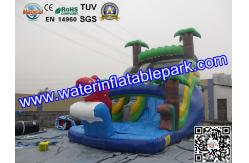 China Bounce House Charming Inflatable Slide , Kids Inflatable Water Slides Pool supplier