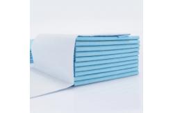 China Non Woven Pet Pee Pad supplier