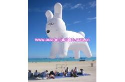 China Inflatable helium rabit balloon supplier