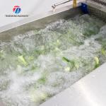 Vegetable Leaves Vegetables Leafy vegetables Cabbage varieties Herbs Fruiting vegetables Vortex washer Cleaning processing production Machine