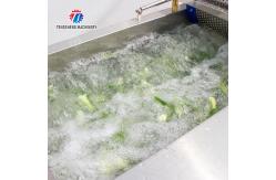 China Vegetable Leaves Vegetables Leafy vegetables Cabbage varieties Herbs Fruiting vegetables Vortex washer Cleaning processing production Machine supplier