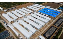 China Broiler Chicken Cage manufacturer