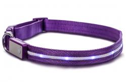 China Reflective LED Dog Collar USB Rechargeable Water Resistant Running Over 8 Hours supplier