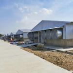 Durable Weatherproof Poultry Steel Building Weather Resistant for sale