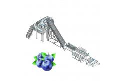 China 12brix Full Automatic Strawberry Processing Equipment supplier
