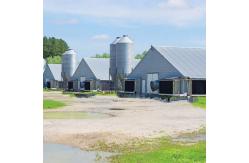 China Lightweight Steel Frame House , Chicken Farm Structure Customized supplier