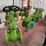 API ANSI Gate Valve Iron /  WCB / Stainless Steel Material For Water And Chemical for sale