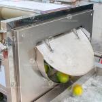 Customized Citrus Fruit And Vegetable Processing Line Impurities Treatment Sewage Disposal