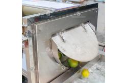 China Customized Citrus Fruit And Vegetable Processing Line Impurities Treatment Sewage Disposal supplier