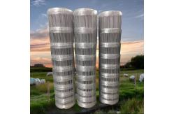 China 2.0MM Line Wire Cattle Fence Hinged Joint Galvanized Cattle Fence Netting supplier