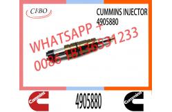 China Diesel Fuel Injectors 2872544 2031835 2030519 4905880 For Cummins supplier